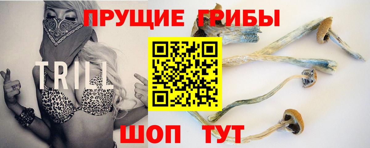 сколько стоит  Галлюциногенные грибы GOLDEN TEACHER  Вход с VPN  Моршанск  Галлюциногенные грибы прущие грибы 